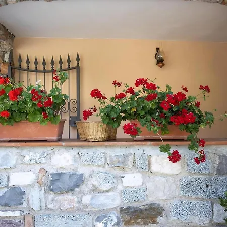 Apartment Casa Rita 4